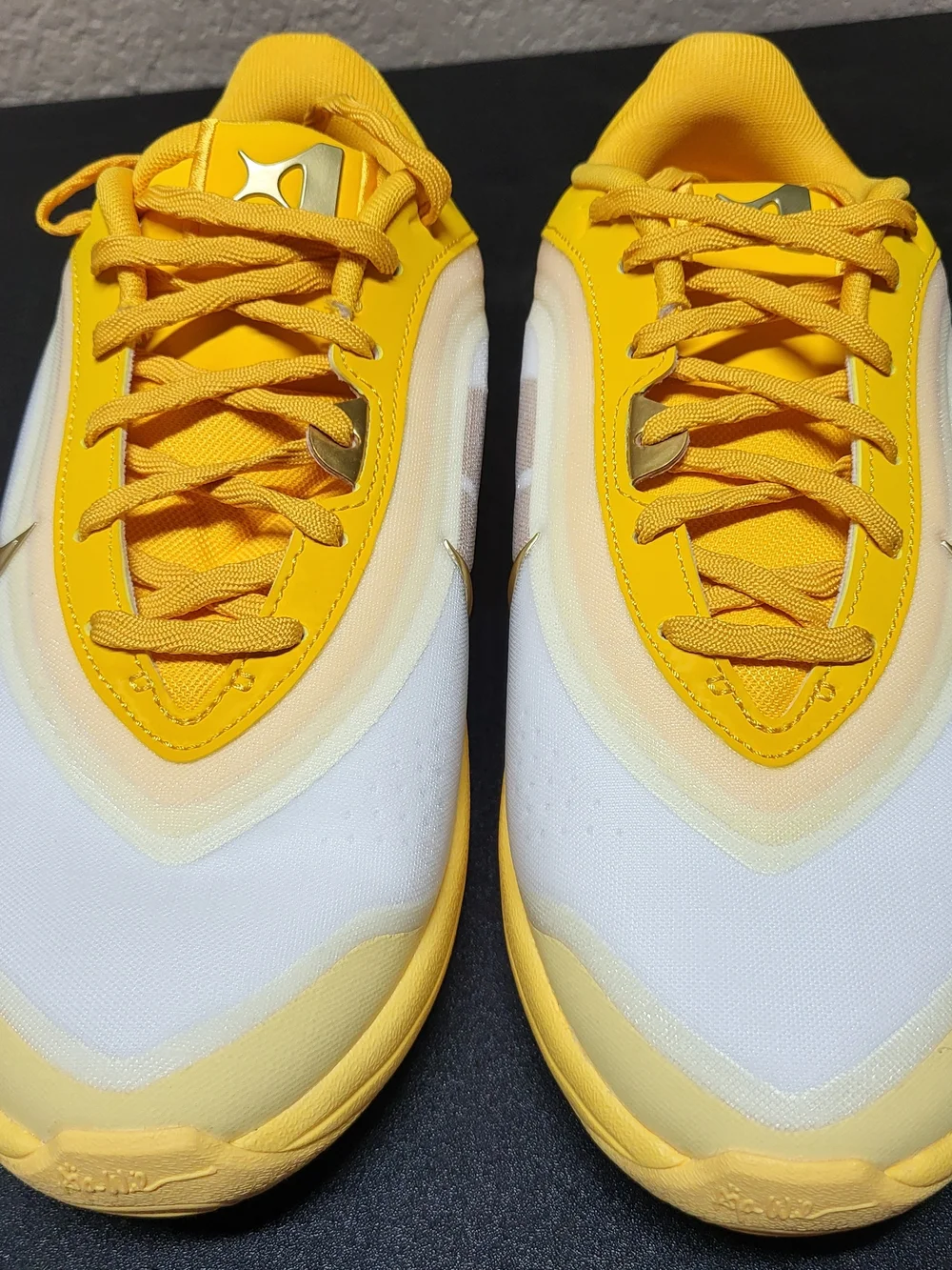 Nike low profile